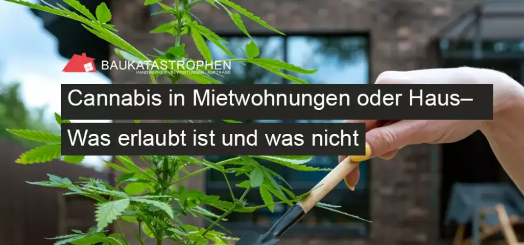 Cannabis in Mietwohnungen oder Haus– was erlaubt ist und was nicht