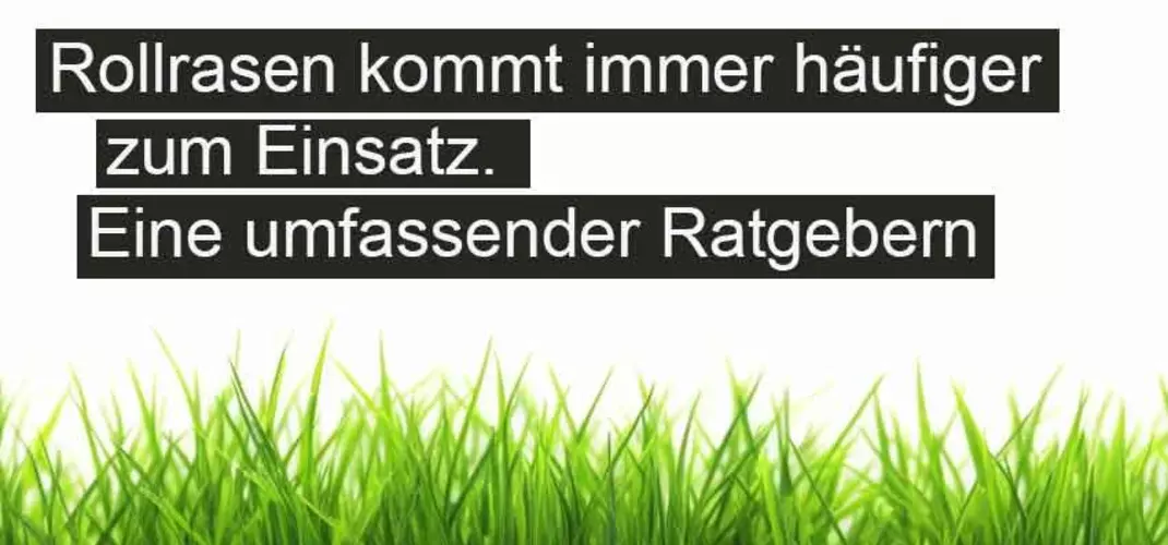 Rollrasen - eine umfassender Ratgeber