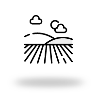 Landfläche